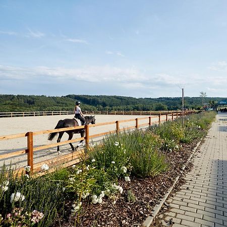 Bilichov Hotel Екстериор снимка